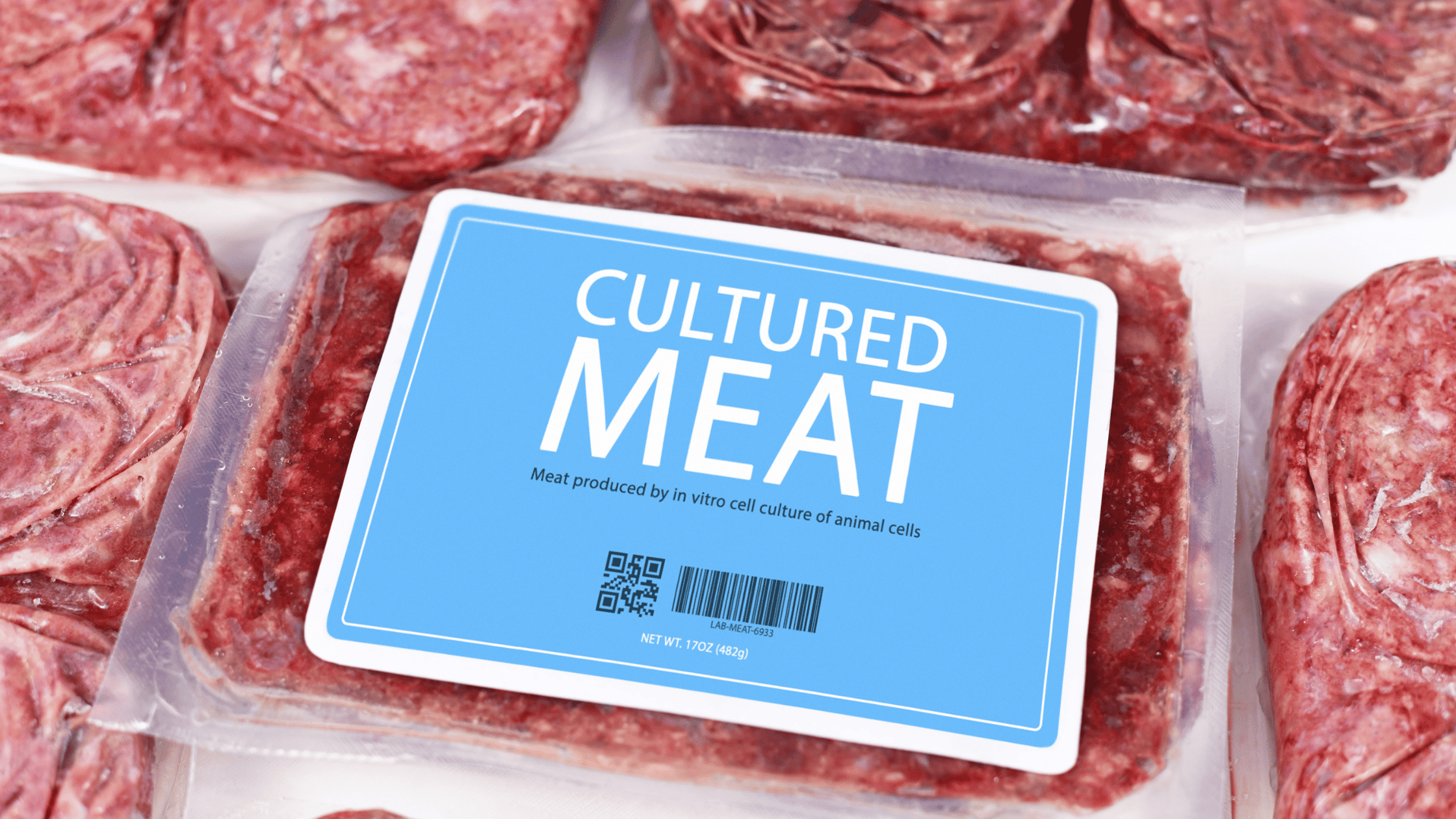 In vitro Fleisch , lebensmittel, food, Tier, Meat