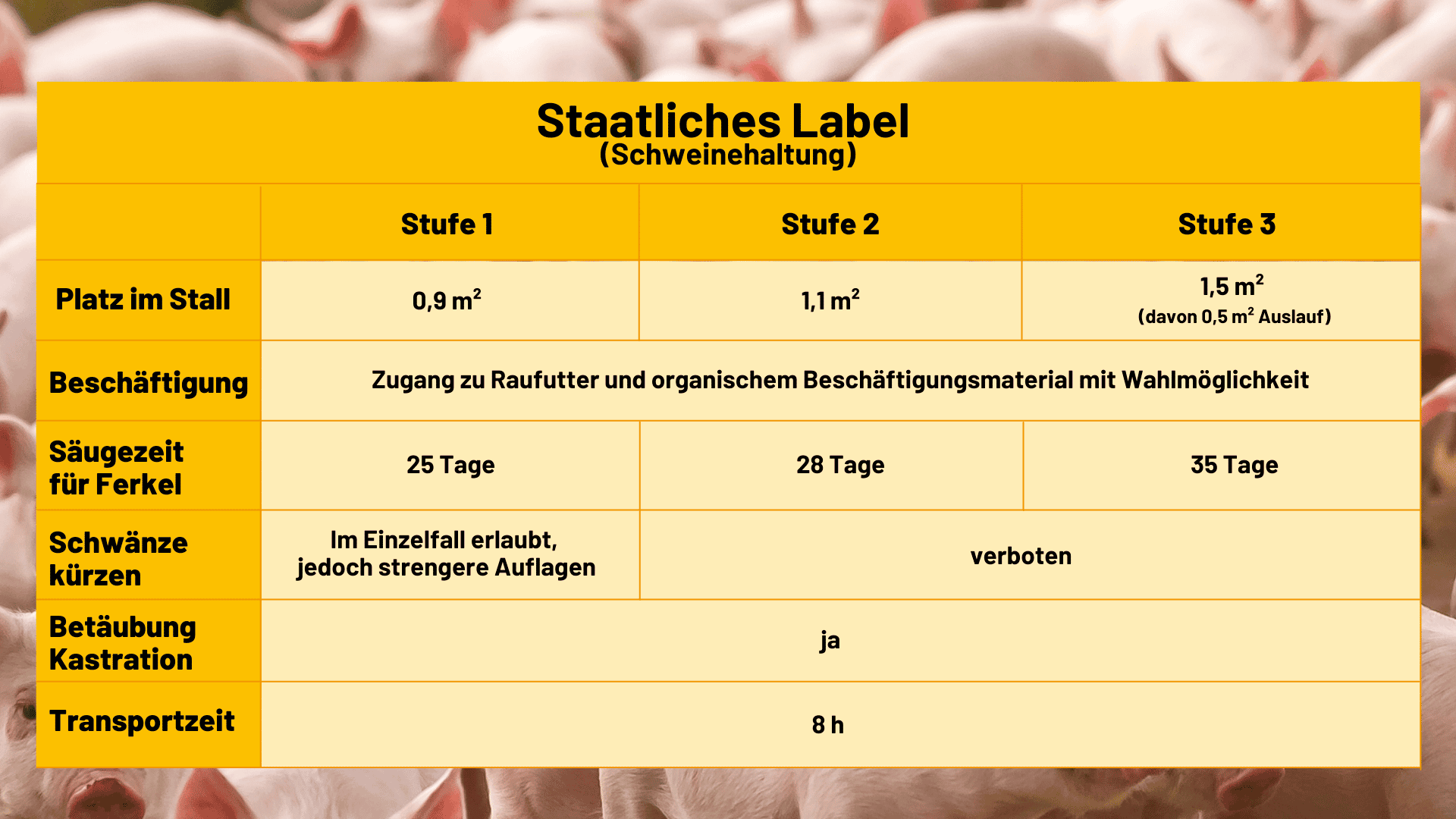 Staatliches Label (Schweinehaltung)
