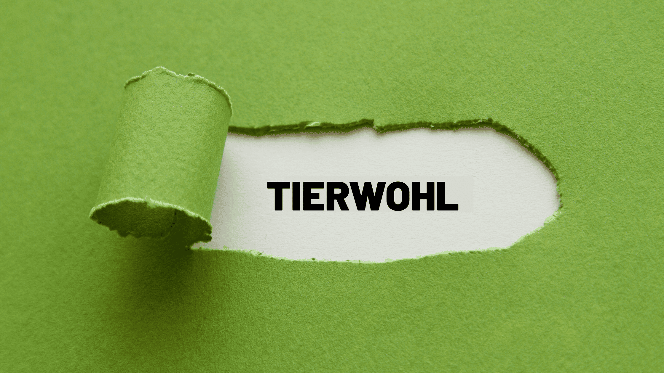 Tierwohl